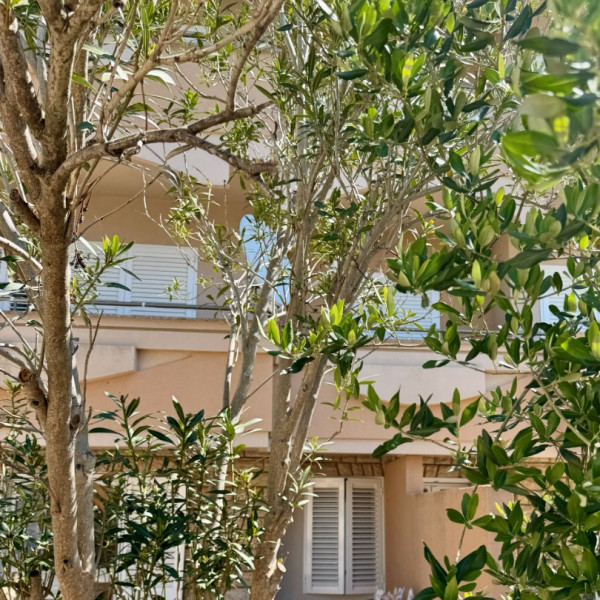 Living room, Apartments Toma Novalja, Apartments Toma Novalja Novalja